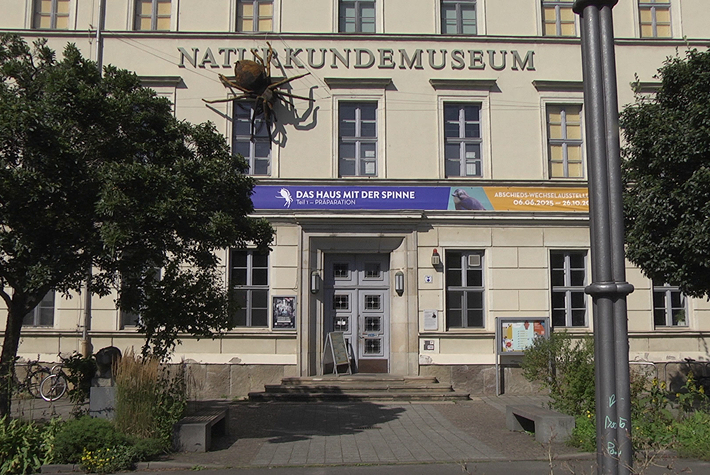 Hier ist ein Ausschnitt einer Fassade eines scheinbar älteren Gebäudes mit einer Eingangstür zu erkennen, über der sich ein Plakat Banner befinden mit dem in Großbuchstaben geschriebenen Schriftzug „Das Haus der Spinne“. Oberhalb davon befindet sich ein übernatürlich großes Modell einer Spinne und der in Großbuchstaben geschriebene Schriftzug „Naturkundemuseum“. 