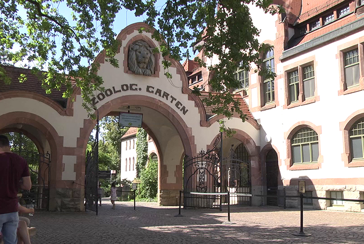 Hier ist relativ mittig platziert ein Torbogen mit einer weiß-rötlichen Fassade zu sehen über dem sich in einem Halbbogen der Schriftzug „ZOOLOG. GARTEN“ befindet. Über diesen Schriftzug ist einer aus Stein gefertigte Löwenkopf zu sehen.